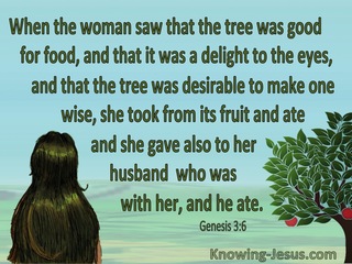 Genesis 3:6 Genesis 3:6 Eve Took, Ate And Gave To Her Husband (red) (green)